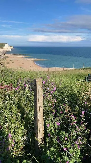 Driftwood By The Sea Apartment Brighton 0*,  United Kingdom
